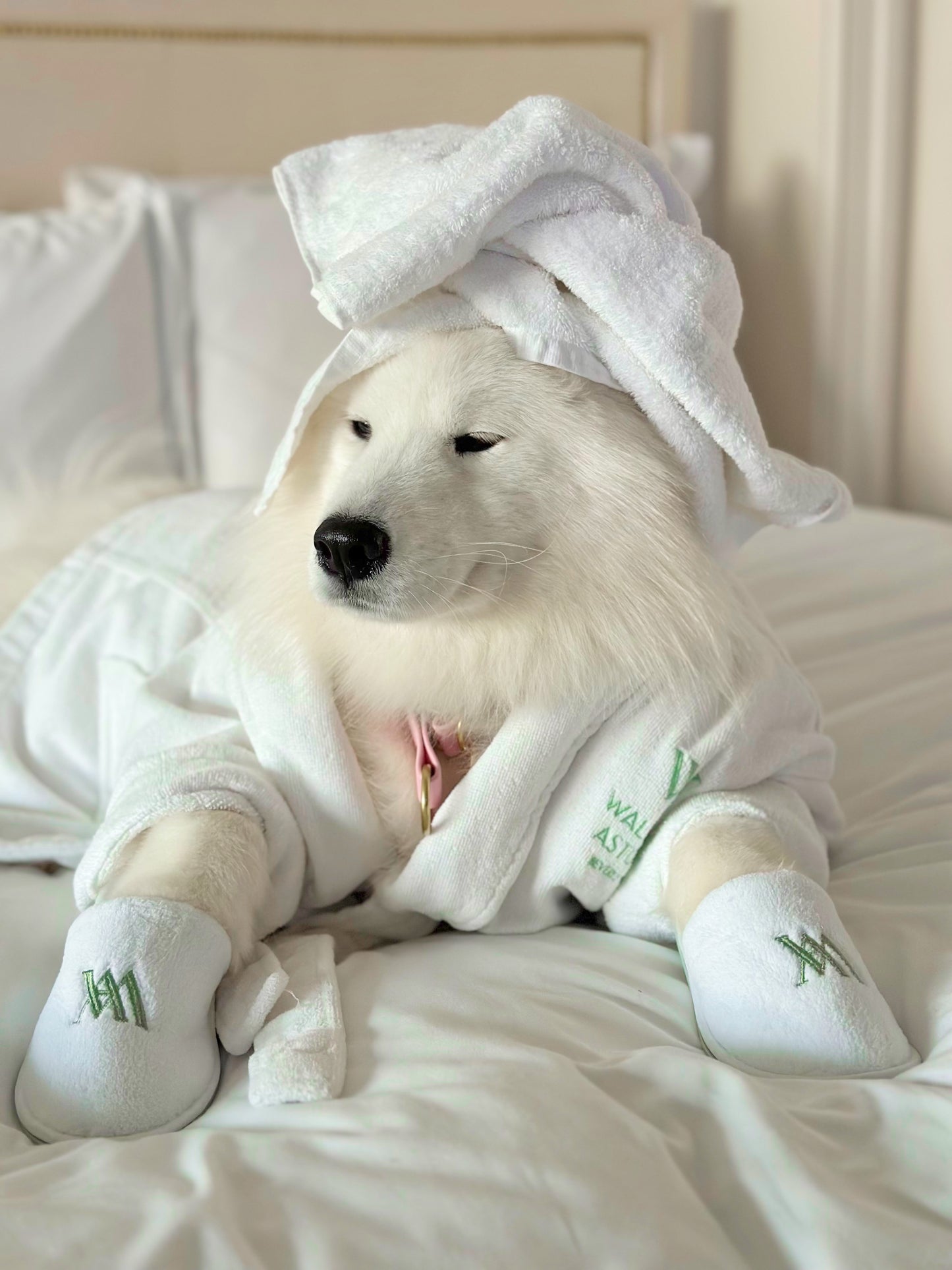 Classic Robe