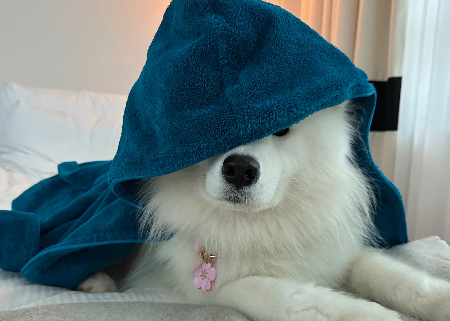 Hooded Robe