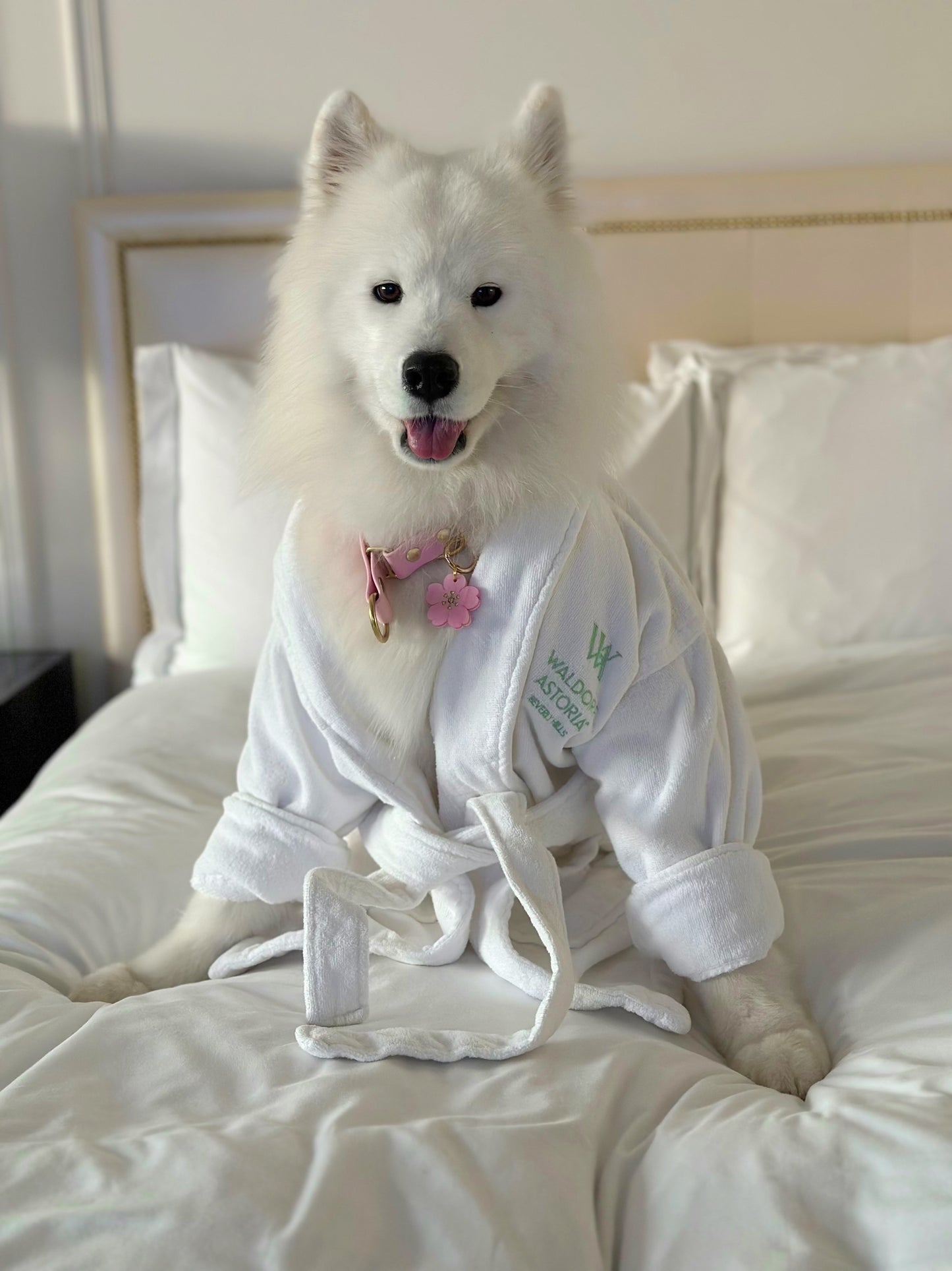 Classic Robe